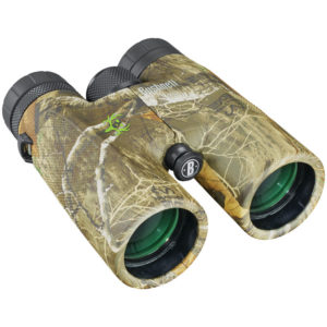 POWERVIEW BINO 10X42 RT EDGE