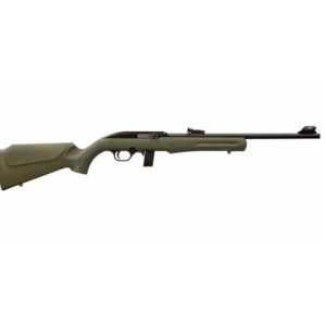 RS22 22LR BLK/ODG 18" 10+1