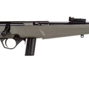 RB22 22LR BLK/ODG 16.5" 10+1