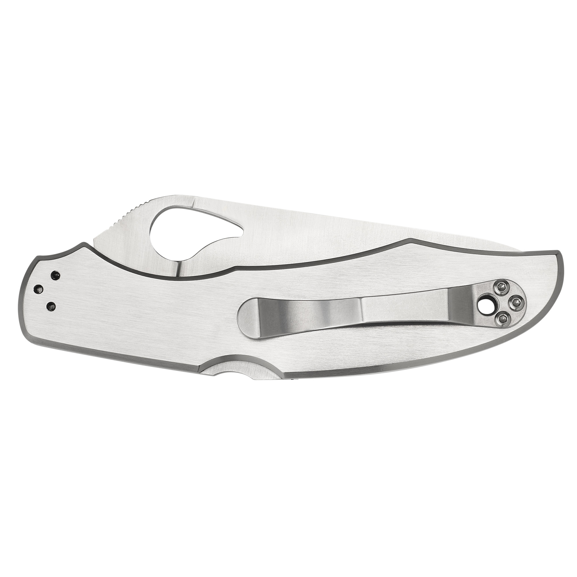 SPYDERCO BYRD CARA CARA 3.75 - Image 2