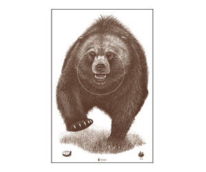 ACTION TGT AK STATE PARK BEAR 100PK